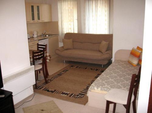 Sveti Stefan Guest House 班斯科 外观 照片